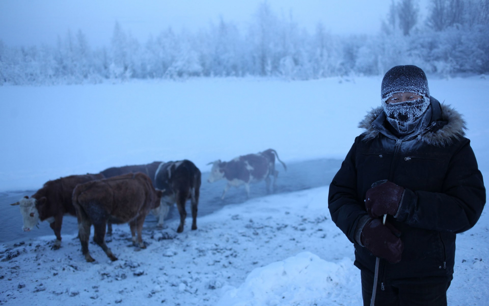 Thời tiết khắc nghiệt khiến những người dân ở đây mạnh mẽ khác thường, trường tiểu học Oymyakon chỉ đóng cửa khi nhiệt độ thấp hơn -52 độ C. (Ảnh: Amos Chapple)