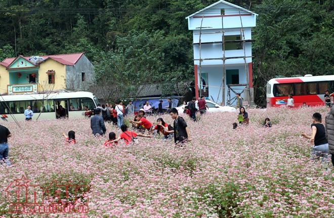 Đến Hà Giang mùa hoa tam giác mạch không thể quên điểm dừng là thung lũng Lũng Cẩm tại xã Sủng Là, huyện Đồng Văn.