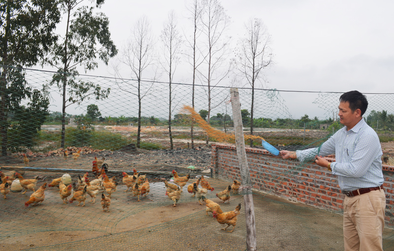 Anh Phạm Văn Vang kết hợp cung ứng sản phẩm thịt lợn với chăn nuôi gà đẻ trứng