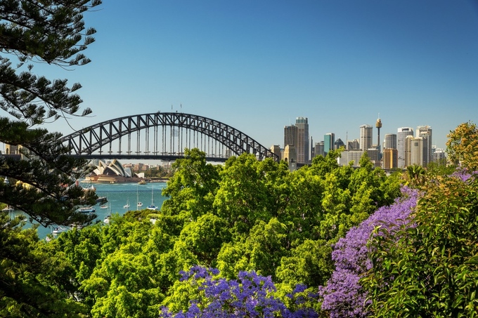 Nếu bạn đang tìm những địa điểm chụp hình đẹp với các hàng cây phượng tím ở Sydney, hãy đến với The Rocks, Vườn bách thảo Royal hay Paddington... Ảnh: Hamilton Lund.