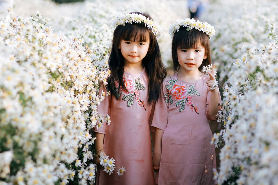 Cùng ngắm nhìn những hình ảnh đẹp nhất của Hà Nội đẹp nhất mùa cúc hoa mi. Ảnh sử dụng trong bài: Sưu tầm Instagram. 