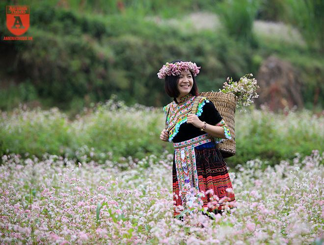  Thiếu nữ miền xuôi cũng không khó để tìm thuê những bộ trang phục dân tộc Mông truyền thống ở mỗi cánh đồng hoa 