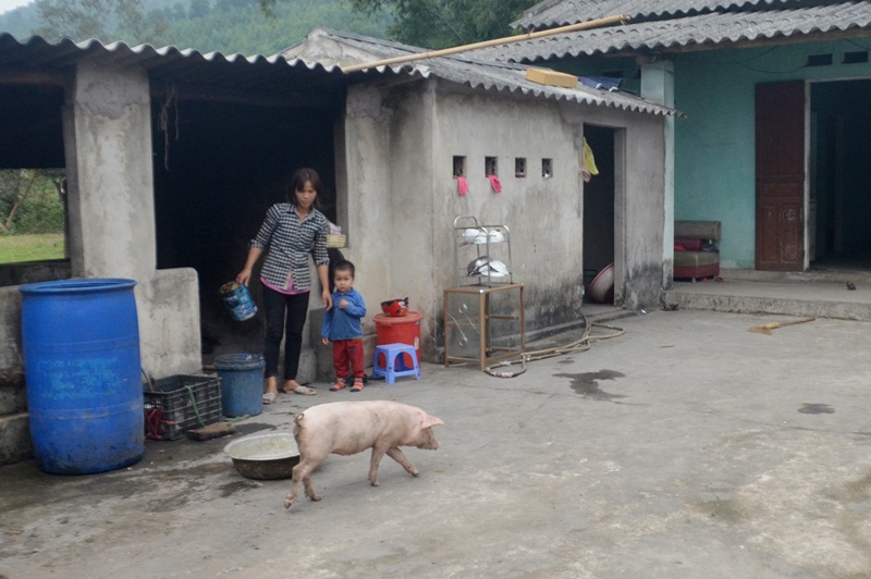 Chị Nguyễn Thị Yến, thôn Vườn Rậm, xã Sơn Dương (Hoành Bồ)  hộ gia đình thuộc nhóm đối tượng nông, lâm, ngư nghiệp và diêm nghiệp có mức sống trung bình nhưng chưa tham gia BHYT.
