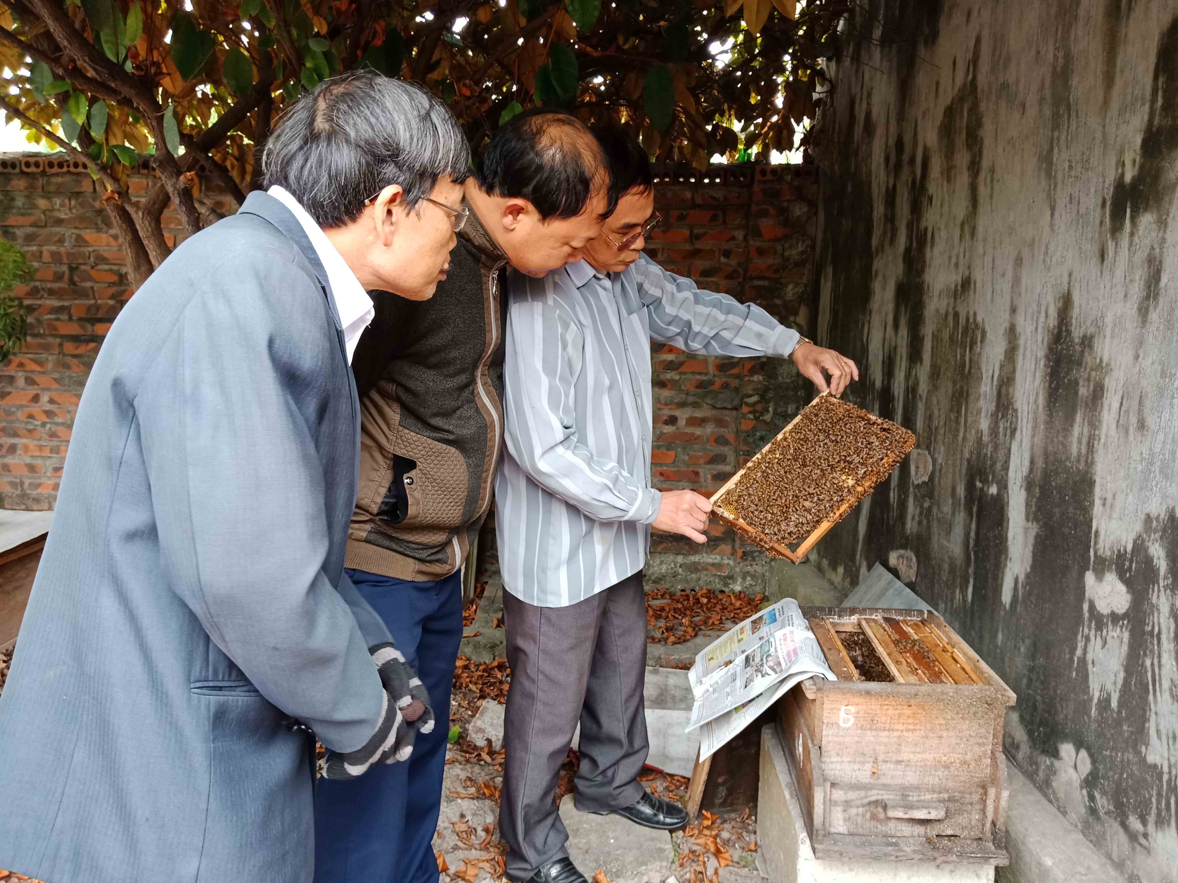 Ông Nguyễn Ngọc Điểm, thôn Yên Khánh, xã Yên Đức, TX Đông Triều  phấn khởi khoe mô hình nuôi ong mật mang lại hiệu quả cao trong vườn mẫu của gia đình 