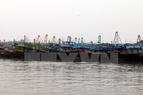 Tàu cá neo đậu tránh bão tại cảng Hưng Thái (huyện Long Điền). (Ảnh: Đoàn Mạnh Dương/TTXVN)