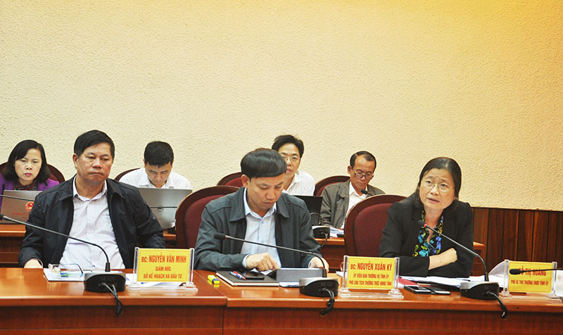 Đồng chí Đỗ Thị Hoàng, Phó Bí thư Thường trực Tỉnh ủy cho ý kiến tại buổi làm việc.