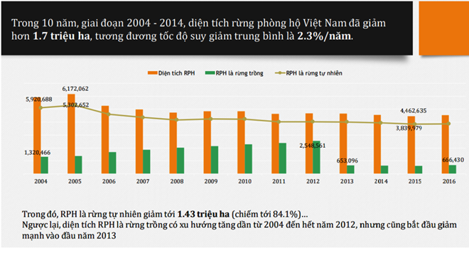 Từ năm 2004 đến 2014, diện tích rừng phòng hộ Việt Nam đã giảm hơn 1,7 triệu hécta, tương đương tốc độ suy giảm trung bình là 2,3%/năm. (Nguồn: PanNature)