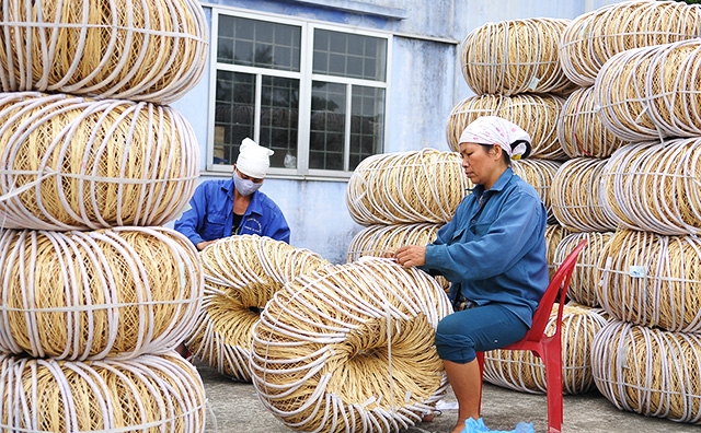 Việt Nam là nước có tỷ lệ lao động phi chính thức cao nhất khu vực châu Á. Trong ảnh: Sản xuất sản phẩm thủ công mỹ nghệ tại xã Phú Túc, huyện Phú Xuyên, TP Hà Nội. Ảnh: ĐĂNG KHOA