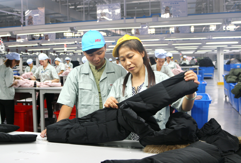 Công nhân làm việc tại xưởng may của Công ty Hoa Lợi Đạt Việt Nam, KCN Texhong Hải Hà