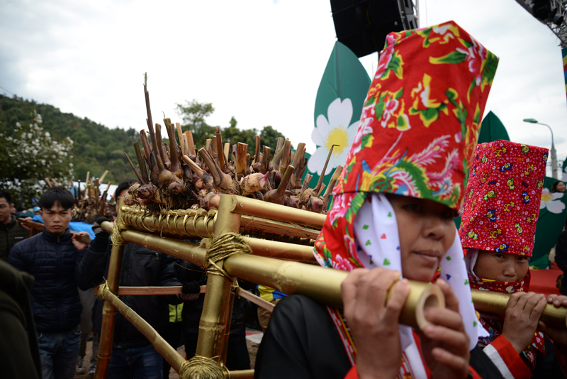 Người dân xã Hoành Mô trưng bày sản phẩm củ dong riềng - cây trồng chủ lực của địa phương. 