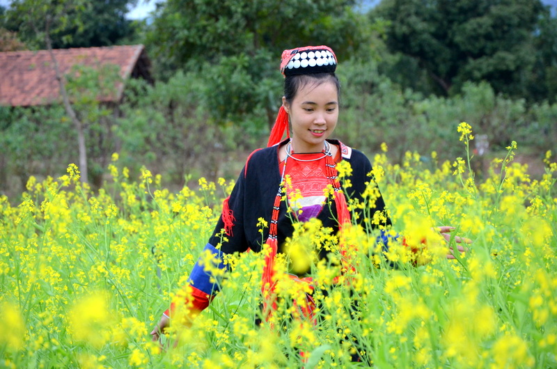Thiếu nữ dân tộc Dao đua sắc cùng hoa