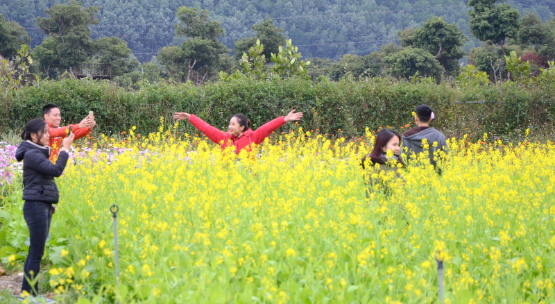 Những nhóm bạn trẻ thích thú, vô tư chơi đùa giữa khu vườn rực rõ sắc màu hoa