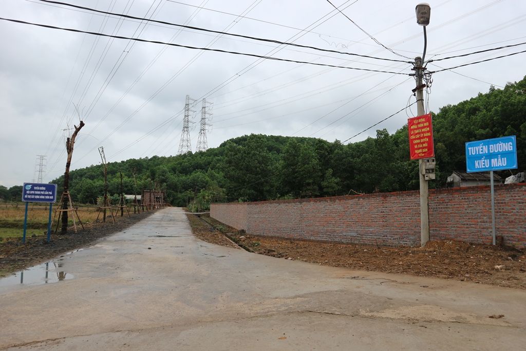 Tuyến đường kiểu mẫu thôn Tân Hải đang dần hoàn thiện
