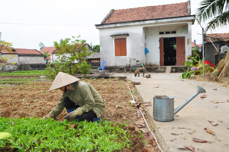 Phần lớn người dân ở khu Đượng Gôi có cuộc sống khó khăn, việc làm không ổn định, thu nhập bấp bênh.