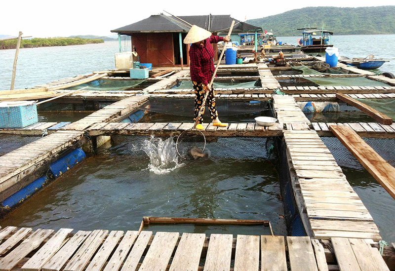 Khu nuôi trồng thủy sản của HTX Đức Thịnh tại xã Tân Lập. Ảnh Văn Triều (CTV)