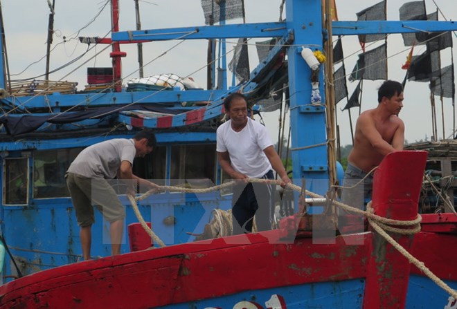 Ngư dân neo đậu tàu thuyền vào nơi tránh trú an toàn tại âu thuyền huyện Lộc Hà, tỉnh Hà Tĩnh. (Ảnh: Công Tường/TTXVN)