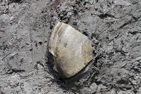 Nắp gốm men thời Đông Hán thu thập được tại khu vực khảo cổ,