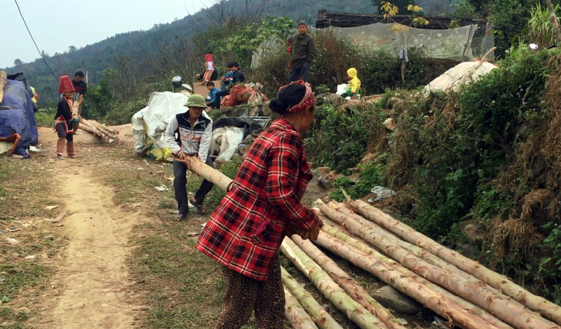 Bà con nhân dân thôn Ngàn Vàng Trên, xã Đồng Tâm giúp gia đình ông Chíu Chăn Cắm vận chuyển cột gỗ làm nhà. 