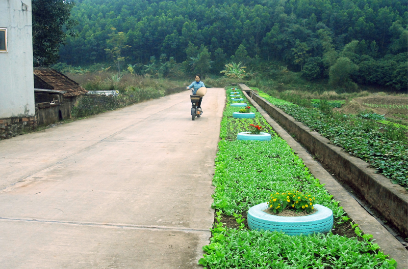 Nhân dân tích cực trồng hoa dọc đường thôn Thác Bưởi 1, xã Tiên Lãng. 