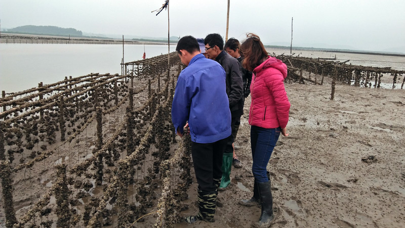 Hiện nay, huyện Đầm Hà đã quy hoạch các vùng nuôi trồng thủy sản tập trung cho hiệu quả kinh tế cao.