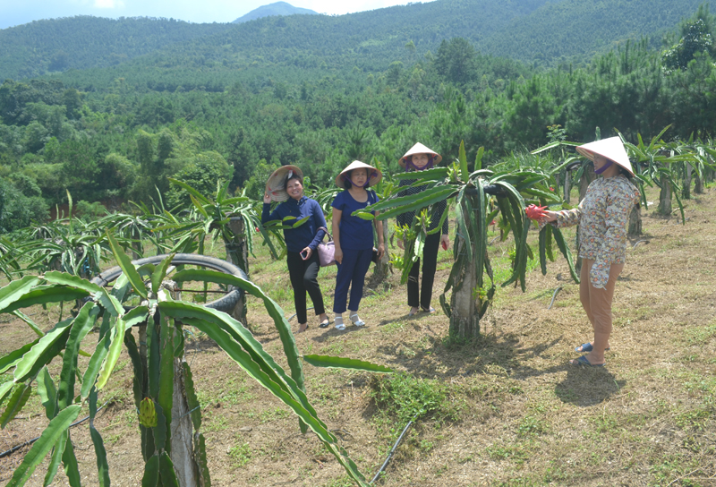 Chị Trần Thị Hiền (bên phải), thôn Bản Cặm, xã Hoành Mô đã gắn sản xuất với bảo vệ môi trường