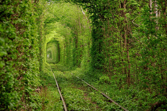Đường hầm tình yêu ở Ukraine  Vốn đây là một phần của tuyến đường ray xe lửa nối Klevan với Orzhiv, Ukraine, được bao quanh bởi cây xanh, dài từ 3-5 km. Ngày nay, nó là địa điểm được các cặp đôi rất ưa thích để đi dạo hoặc chụp ảnh cưới.