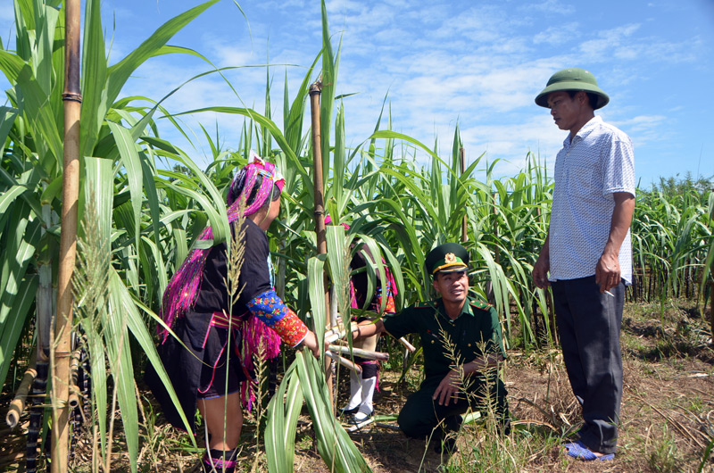 Cán bộ chiến sỹ Đồn Biên phòng Bắc Sơn hướng dẫn người dân thôn Phình Hồ kỹ thuật trong phát triển sản xuất nông nghiệp.