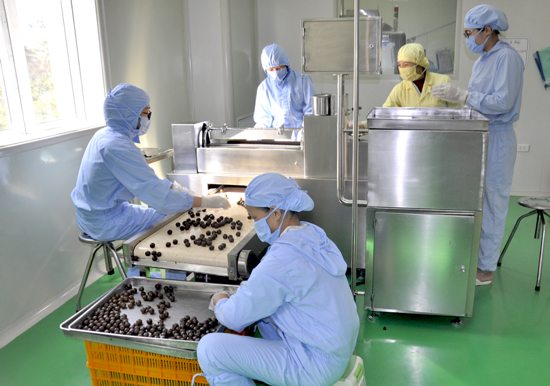 Dây chuyền sản xuất viên hoàn mềm tại Nhà máy sẩn xuất thuốc của Công ty Cổ phần dược Vật tư y tế Quảng Ninh