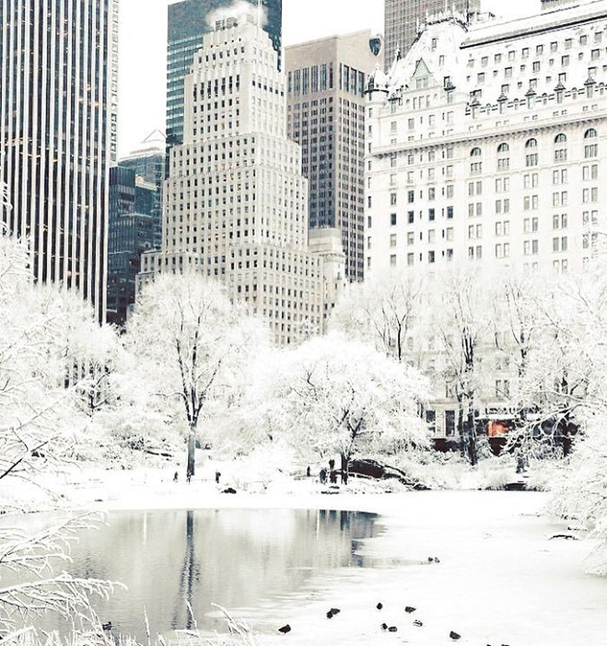 Bắc Mỹ đang trải qua đợt lạnh kỷ lục, nhiều nơi nhiệt độ xuống tới âm 50 - 60 độ C, trong đó có nhiều thành phố lớn. Giá lạnh cản trở hoạt động sinh hoạt của người dân nhưng cũng mang đến hình ảnh khác lạ, thú vị cho khách du lịch. Một góc quảng trường thành phố New York được phủ một màn tuyết trắng như trong truyện cổ tích.