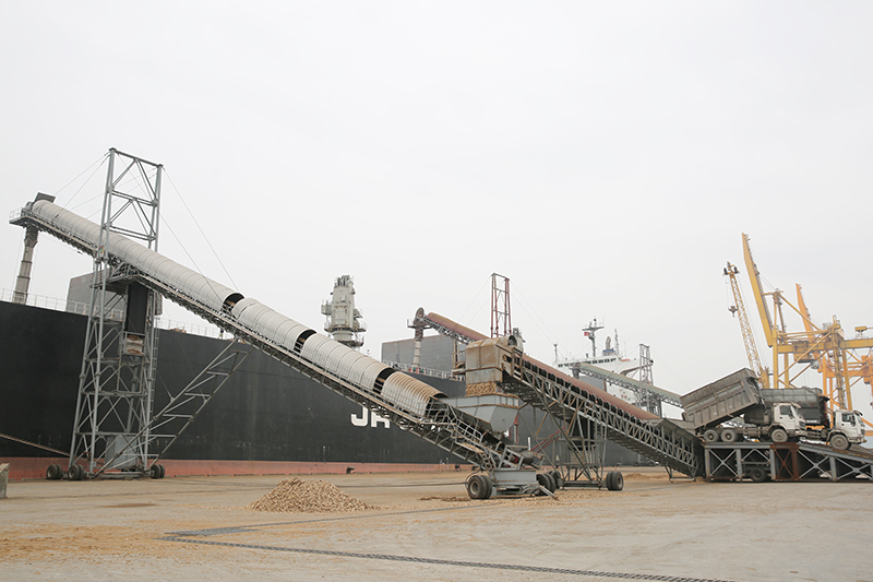 Công ty CP Cảng Quảng Ninh huy động nhân lực và phương tiện, thiết bị khẩn trương bốc xếp hàng hóa.