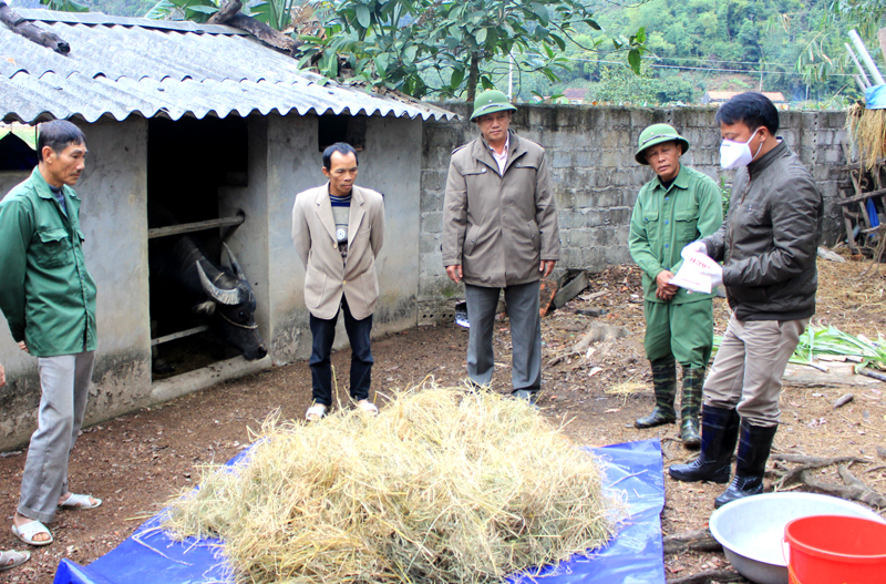 Cán bộ Trung tâm Dịch vụ Kỹ thuật Nông nghiệp huyện Hoành Bồ hướng dẫn người dân chuẩn bị thức ăn cho gia súc trong mùa lạnh