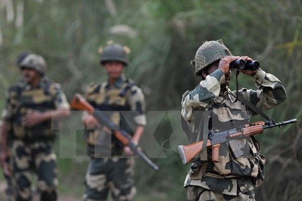 Binh sỹ Ấn Độ tuần tra tại khu vực R.S Pora, Tây Nam Jammu ở biên giới Ấn Độ-Pakistan. (Nguồn: AFP/TTXVN)