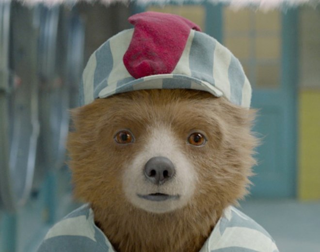 Chú gấu đáng yêu trong phim.