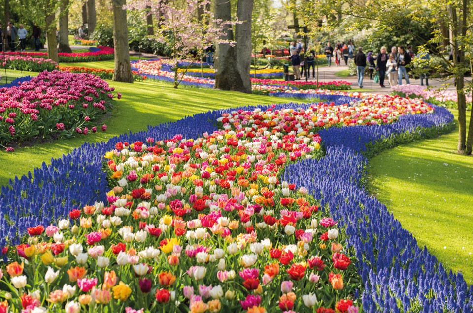 Keukenhof, Lisse, Hà Lan: Đến Lisse và ghé thăm vườn hoa lớn nhất thế giới Keukenhof là một trong những trải nghiệm đặc biệt mà du khách chỉ có thể thực hiện vào mùa xuân. Mỗi năm, vườn hoa có tổng diện tích khoảng 32 ha cùng hàng trăm loại hoa tulip khác nhau này tạo nên những thảm hoa rực rỡ sắc màu giữa mùa xuân. Ảnh: Anton_Ivanov.