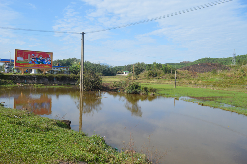 Mặc dù đang là mùa khô nhưng gần 2ha ruộng của 15 hộ dân thôn Quảng Hợp, xã Quảng Thành, huyện Hải Hà vẫn bị ngập sâu trong mức nước tren 30cm.