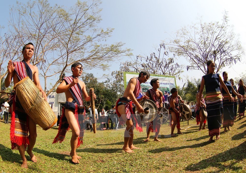 Trai gái trong làng cùng tưng bừng trong tiếng trống, chiêng và điệu múa xoang truyền thống mừng nguồn nước được dẫn về làng. (Ảnh: Dương Giang/TTXVN)