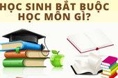 Học sinh bắt buộc học môn gì trong chương trình giáo dục phổ thông mới?