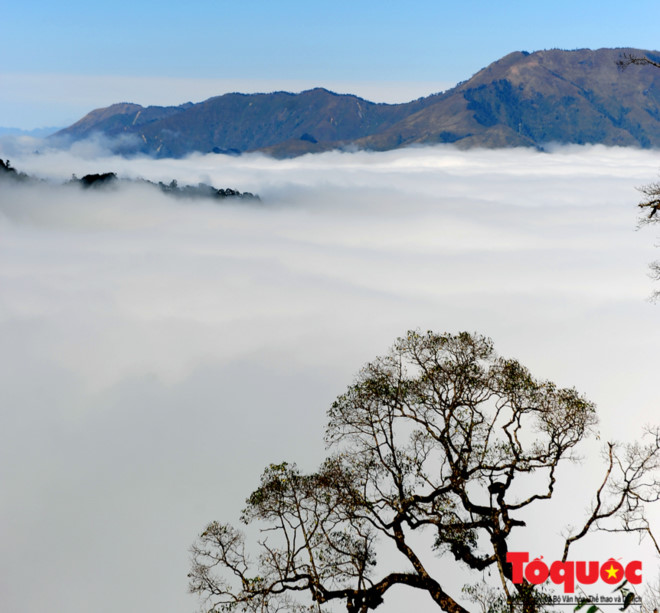 Đến Phu Xai Lai Leng vào mùa này, bạn sẽ không nỡ rời bước bởi khung cảnh tuyệt đẹp với những dãy núi cao dập dờn trong làn mây trắng bao phủ.