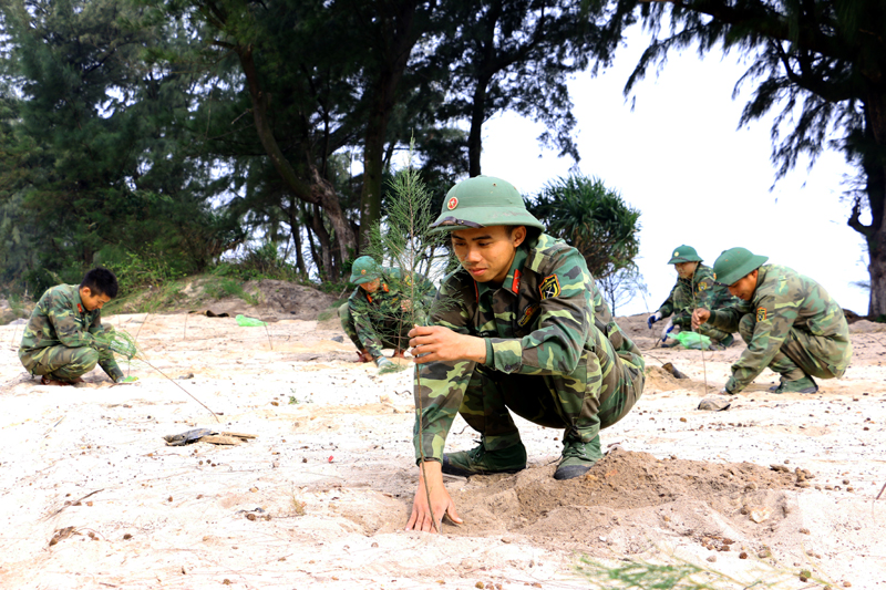  Soldiers in Co To island planting trees (Photo: baoquangninh.com.vn)
