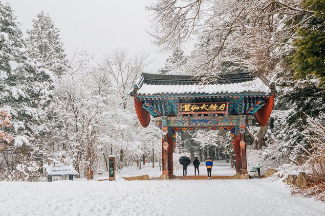  Trong ảnh, khách du lịch thăm đền Woljeongsa tại Vườn quốc gia Odaesan, gần sân vận động Olympic Pyeongchang. Ảnh: China Daily