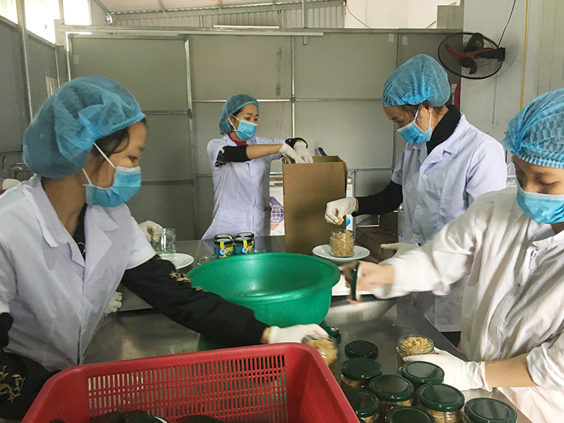 Công nhân Công ty TNHH Sản xuất và thương mại thủy sản Quảng Ninh đóng gói ruốc hàu