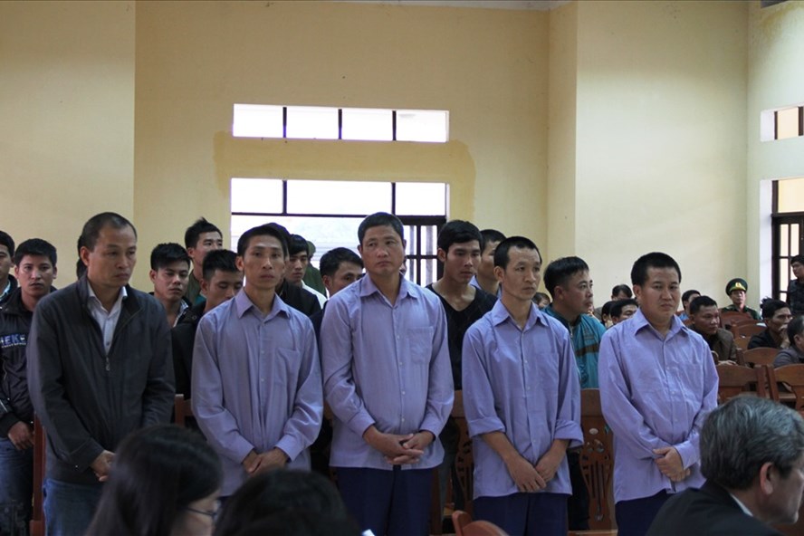 21 bị cáo liên quan đến vụ phá rừng pơ mu ở huyện Nam Giang (Quảng Nam) bị đưa ra xét xử. Ảnh: LP