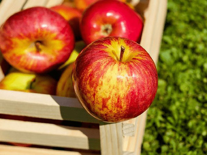 Ăn táo vào ban đêm có thể dẫn đến axit dạ dày. Vì vậy, hãy ăn táo vào ban ngày để làm mềm chức năng ruột.