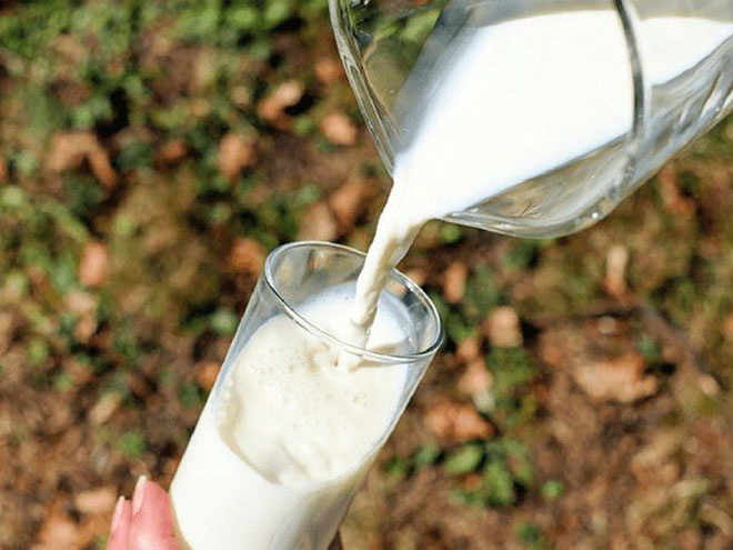 Không nên uống sữa ban ngày mà nên uống vào ban đêm vì nó sẽ giúp cơ thể thư giãn hoàn toàn và các chất dinh dưỡng được hấp thu hiệu quả.