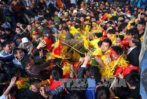 Hàng trăm người già trẻ, trai gái tranh cướp Lộc hoa tre tại lễ hội Gióng đền Sóc. Ảnh: Quý Trung/TTXVN