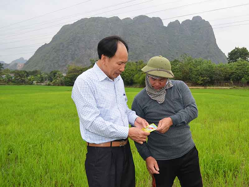 Cán bộ Chi Cục Trồng trọt và BVTV hướng dẫn người dân xã Thống Nhất, huyện Hoành Bồ sử dụng thuốc BVTV đúng cách