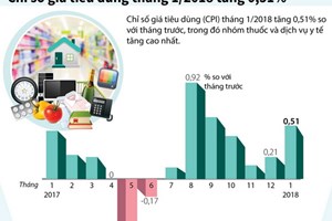 Chỉ số giá tiêu dùng tháng 1 tăng nhẹ 0,51%