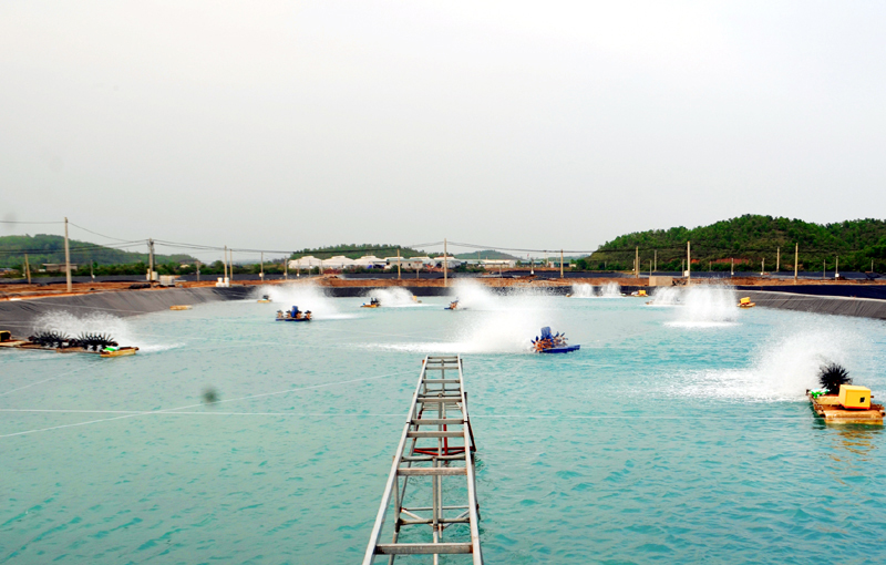 Trung tâm Sản xuất Giống công nghệ cao và Nuôi thực nghiệm giống thủy sản Quảng Ninh