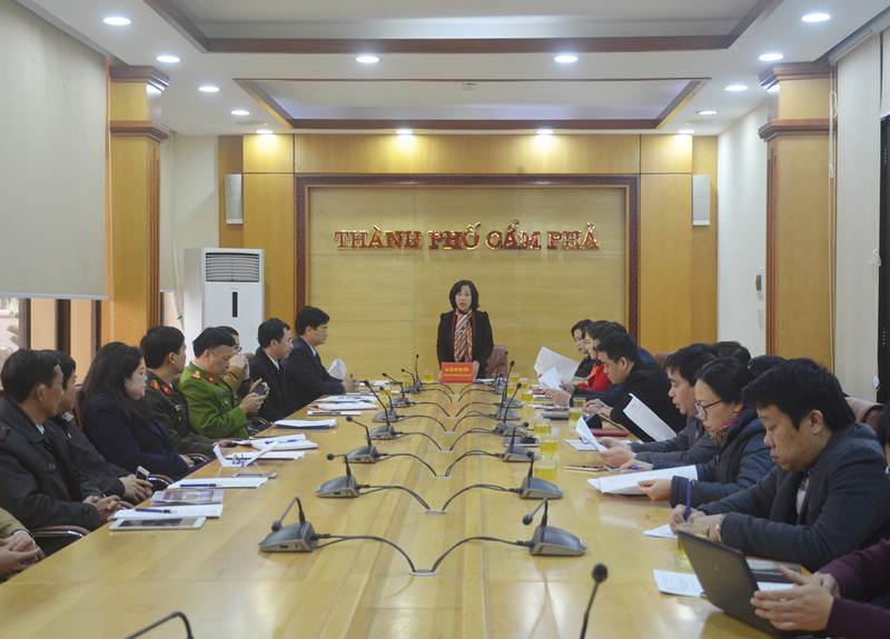 đồng chí Vũ Thị Thu Thủy, Phó Chủ tịch UBND tỉnh phát biểu kết luận buổi làm việc