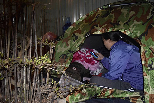 Người phụ nữ này cùng chồng mang mai từ Bình Định ra, tranh thủ gọi điện về nhà hỏi thăm tình hình.